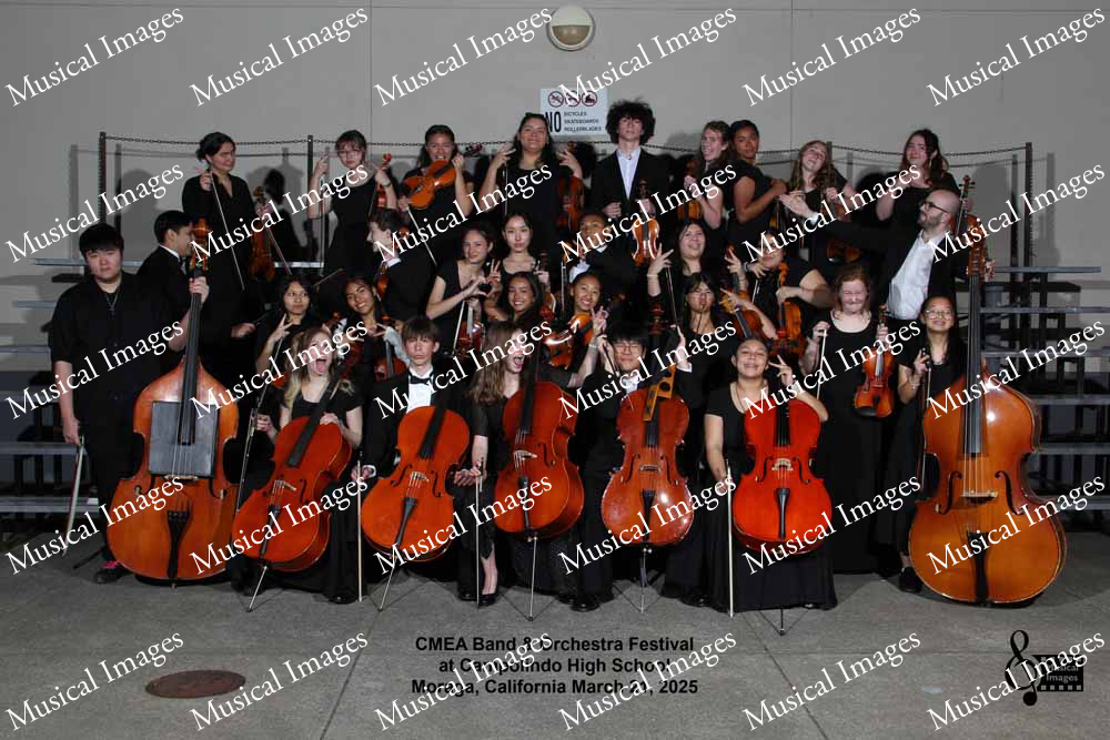 Musical Images